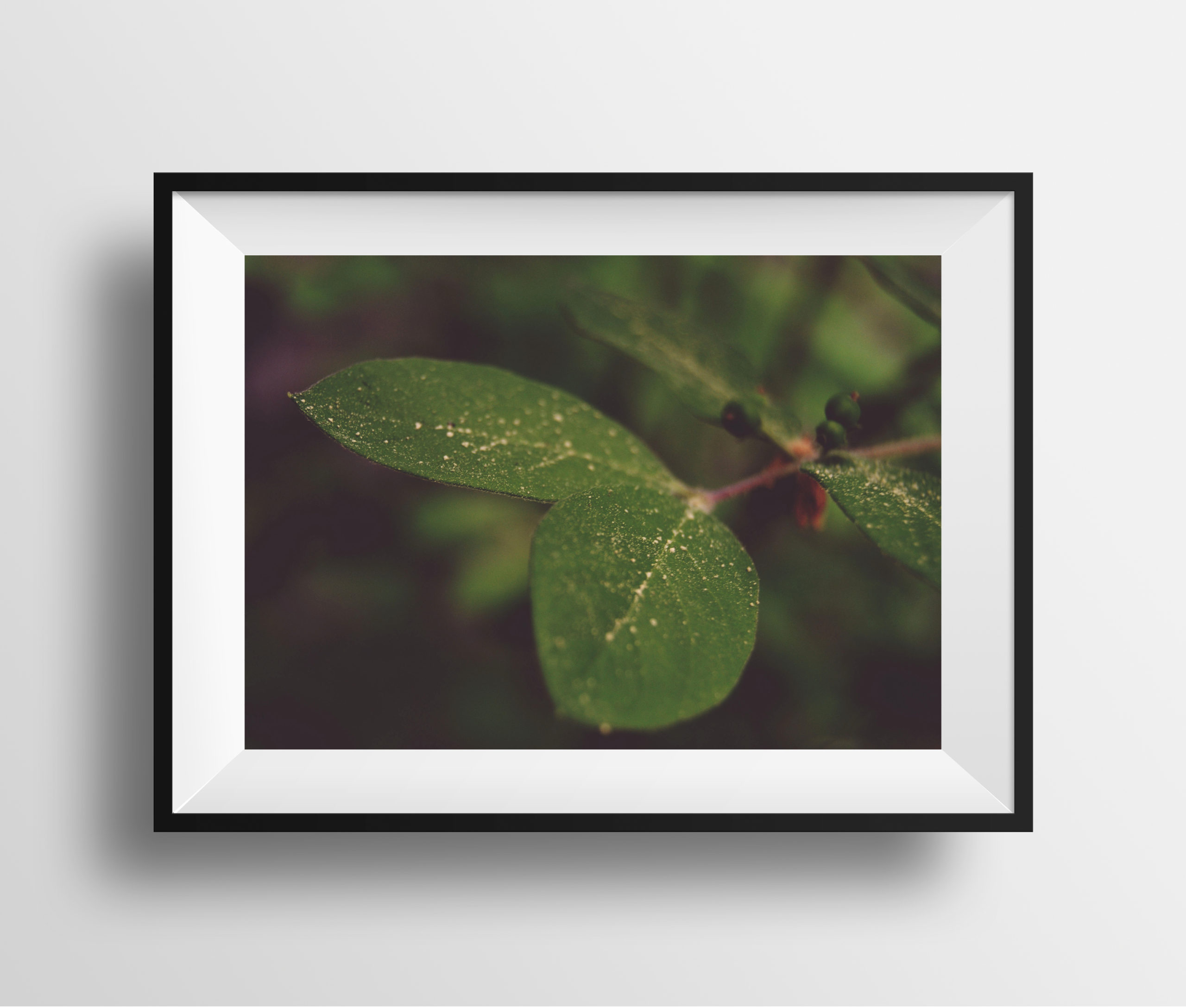 $35 – Dreamy Leaf 01