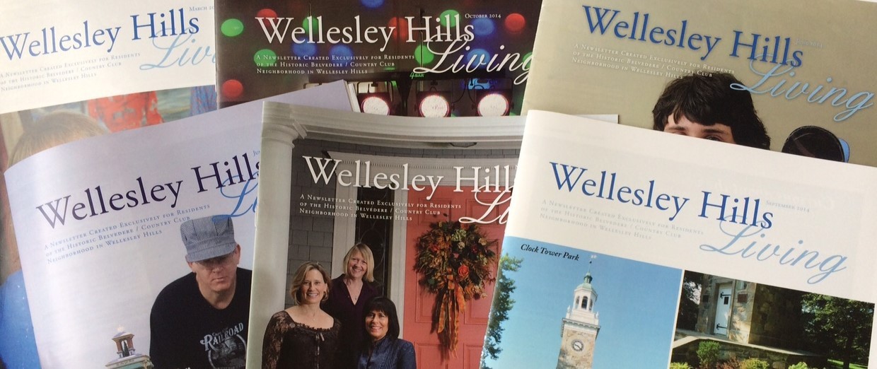 Published Article: Wellesley Hills Living – Luxury of a Cushion