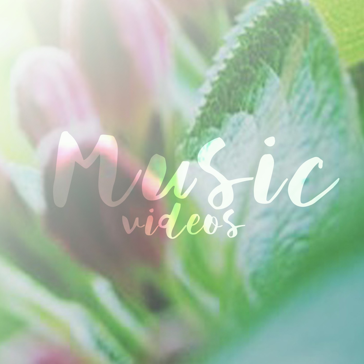 four – music videos
