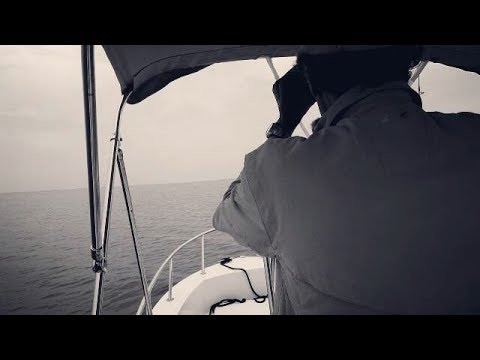Wanderwood| Cape Cod – 5 Striper *Dramatic*￼