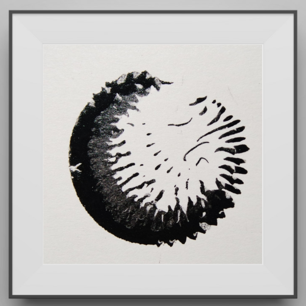 MagKnotic: Ferrofluid Prints 2