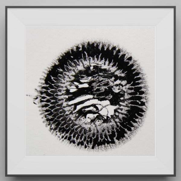 MagKnotic: Ferrofluid Prints 6