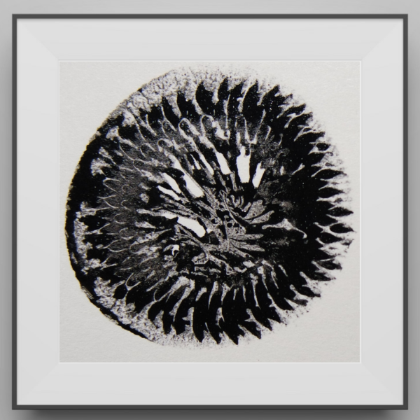 MagKnotic: Ferrofluid Prints 1