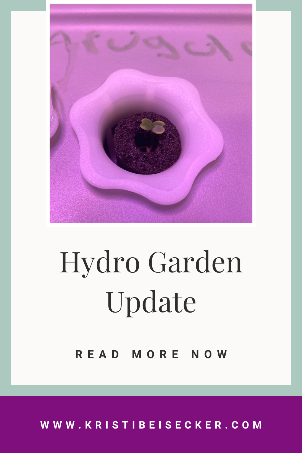 Project: Hydro Garden Update